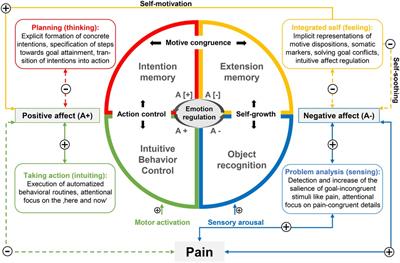Personality systems interactions theory: an integrative framework complementing the study of the motivational and volitional dynamics underlying adjustment to chronic pain